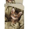 kinderdekbedovertrek 10131 kitten groen met schattige kat fotoprint en rustige achterzijde - productfoto