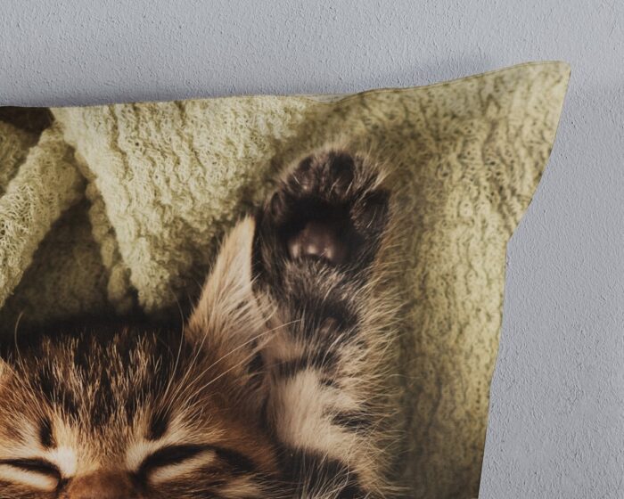 kinderdekbedovertrek 10131 kitten groen met schattige kat fotoprint en rustige achterzijde - kwaliteit detail kinderdekbedovertrek 10131 kitten groen met schattige kat fotoprint en rustige achterzijde - kwaliteit detail