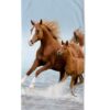Strandlaken Good Morning 75x150 cm - 30004.99.80 kinder strandlaken paarden good morning 75x150 microfiber paard veulen strand 30004 Free productafbeelding